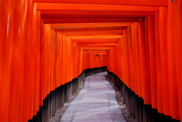 Fototapeta premium 伏見稲荷