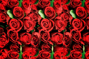 Background of red roses symbolic of love