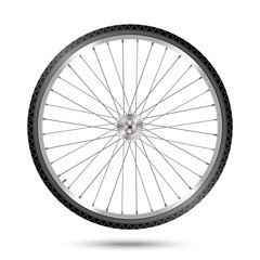 Vector Bicycle Wheel