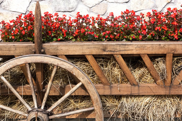 Ox Cart with  Flowers
