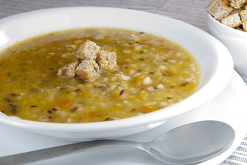 VEGETARIAN SOUP