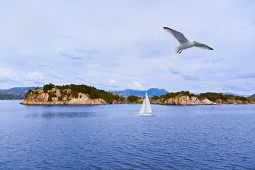 Fjord Lysefjord - Norway