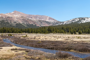Yosemite National Park