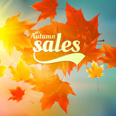 Autumn sale realistic Leaves typography poster.