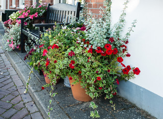 Fototapeta na wymiar Pots with flowering plants in a Dutch street