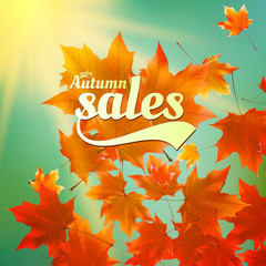 Autumn sale realistic Leaves typography poster.