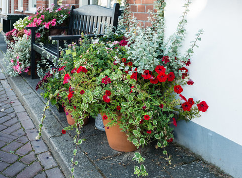 Pots with flowering plants in a Dutch street