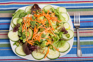 Fresh Salad on Striped Place Mat