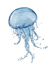 Water splash jellyfish © Vitaly Korovin