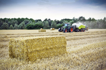 Tractor in a field of wheat