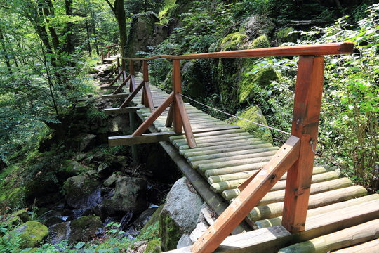 Petits ponts dans la vall&eacute;e de la Wormsa dans les Vosges