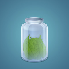 Mint leaves in the pot