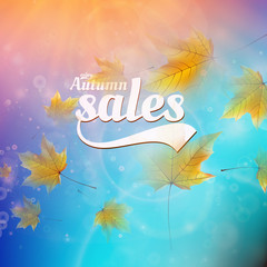 Autumn sale realistic Leaves typography poster.