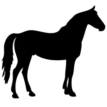 black horse silhouette 2