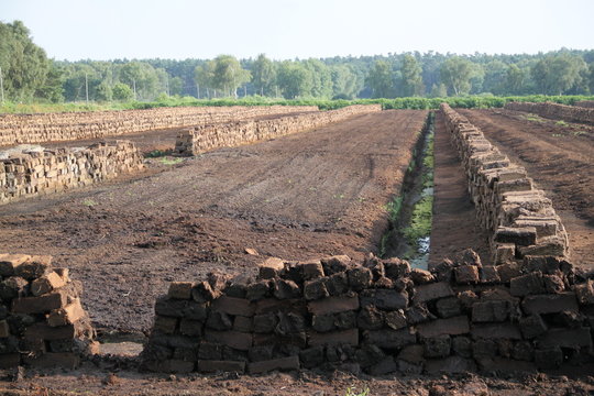 Torfabbau in der L&uuml;neburger Heide