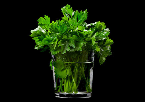 Parsley aromatic herb on black
