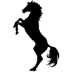 black horse silhouette 5