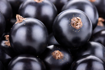 Black currants