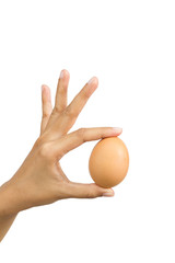 hand holding an egg isolated on white background