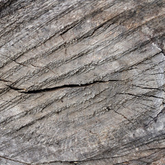 texture