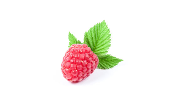 Isolated raspberry