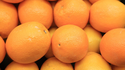 Lots of oranges for sale