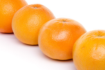 Line of grapefruits