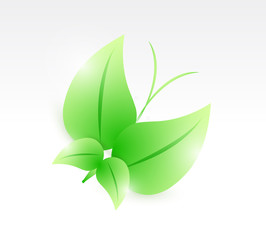 leaves butterfly illustration design