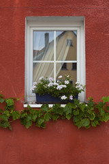 Window Decorated With Flowers