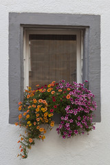 window Decorated With Flowers