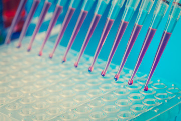 load samples