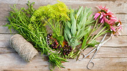 bunches of herbs, coneflowers, scissors and jute rope on wooden