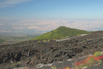 Volcano's slope and valley. Etna, Sicily, Italy