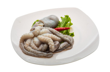 Raw octopus