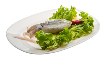 Raw cuttlefish