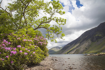 Wast Water in Lake District © hardyuno