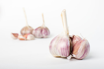 Garlic isolated on white background