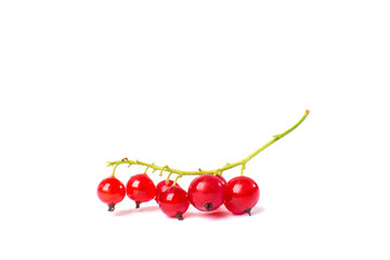 Redcurrant isolated on the white background
