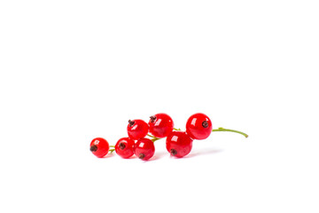 Redcurrant isolated on the white background