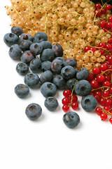 Berries