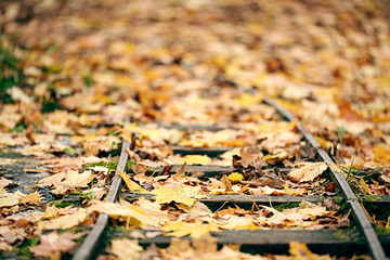 Railways autumn leaves