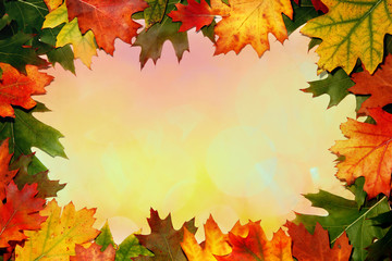 Naklejka na ściany i meble Autumn leaves frame