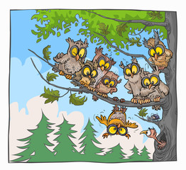 Funny Cartoon Owls on a tree.