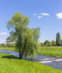 Along Dreisam River