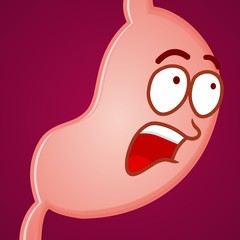 stomach