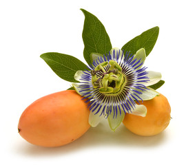 Passiflora caerulea Passion flowers Passionsblumen Страстоцвет