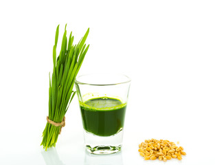 Shot glass of wheat grass with fresh cut wheat grass and wheat g