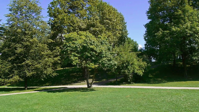 sunny corner of a park in oslo