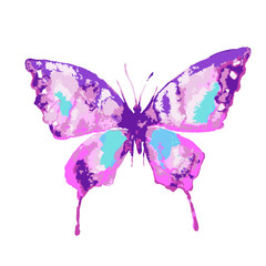 butterflies design
