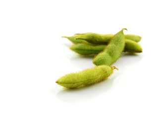 soybean